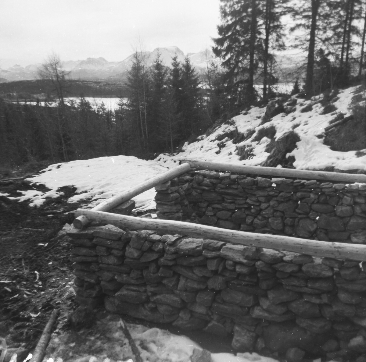 Sæterfjøs i stein fra Årset-sætra i Ramstaddalen, Sykkylven. Bildeserie av gjenoppbygginga av fjøsen på "Sætra" ved Sunnmøre Museum.