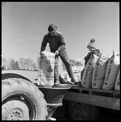 Jordbruk. På våren.