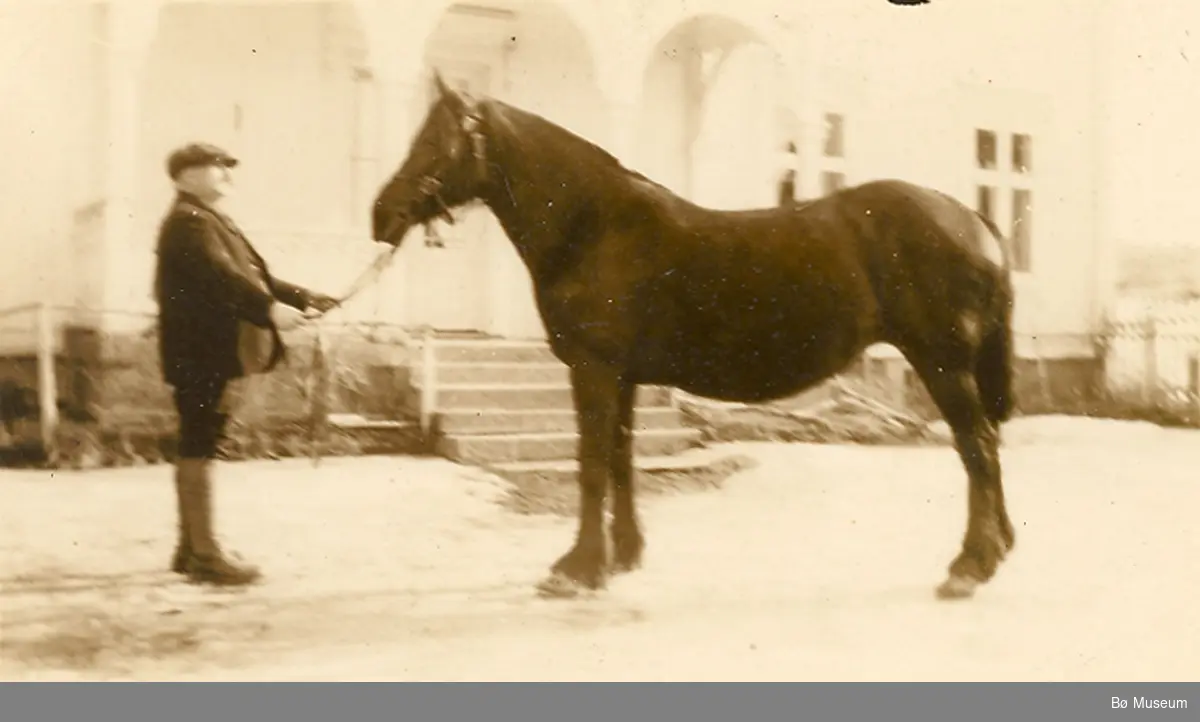 Mann og hest, Gunnulv Borgen