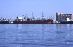 M/S ‘Troll Forest’ (b. 1970, Kaldnes Mekaniske Verkste A/S, 