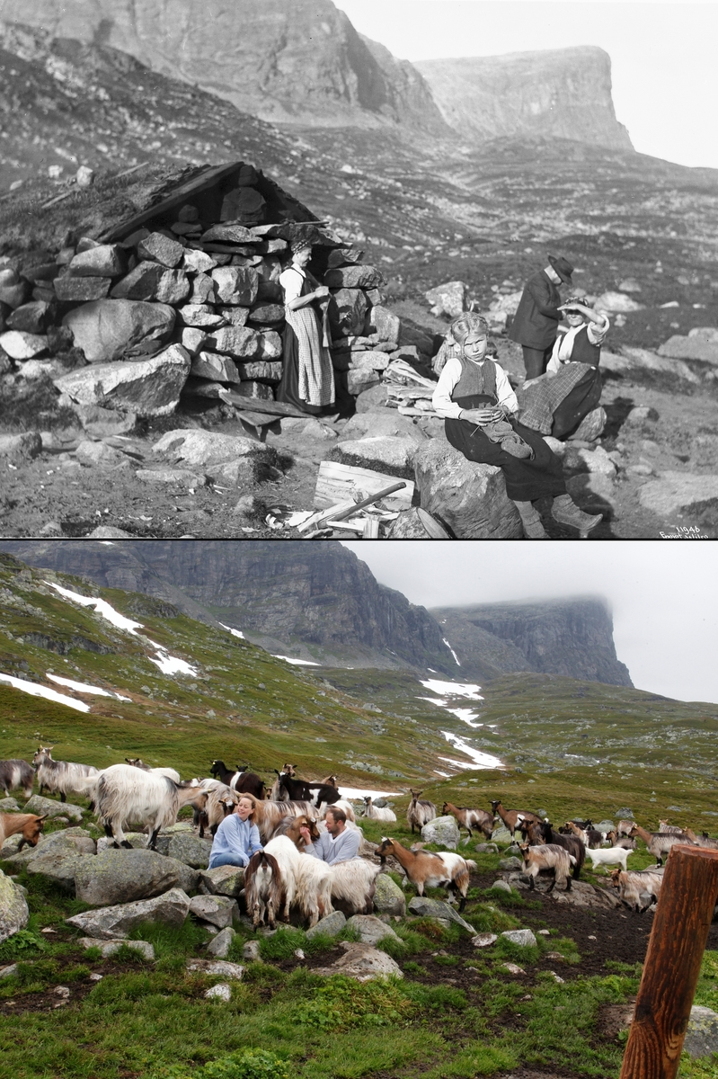 Refotografering. Nupphallsetra, Haukelifjell, Odda. Hvor det en gang var en seter med steinbu, er det i dag geiter som går på beite. Fotografert 1910 og 2015.