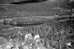 Flyfoto: Vikengårdene, Lyngmo i Bardu 1959
