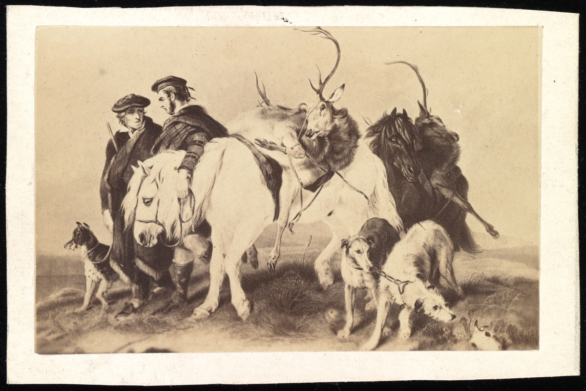 Tegnet bilde av en jaktscene. To skotske jegere går med to hester og tre hunder. Begge heste har hver sin hjort bundet på ryggen. To av hundene er av rasen "skotske hjortehunder".