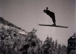 Hopping i Persløkka