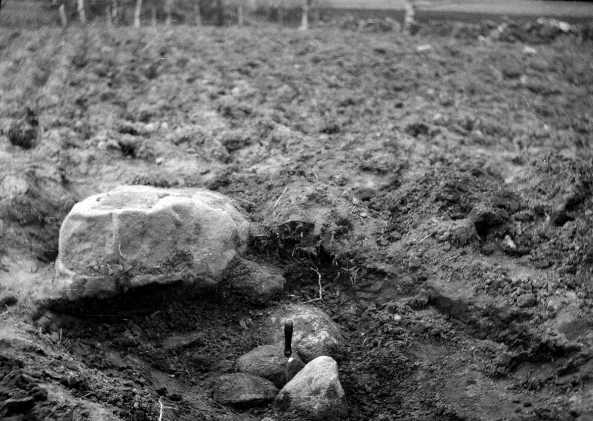 Utgrävning av rösebottnar på Östergårdens ägor, skärslev nedstucken mellan stenar i kantkedja.