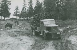 Tømmertransport fra Follum, Øyangen på Ringerike 1949
