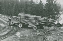 Tømmertransport fra Follum, Øyangen på Ringerike 1949