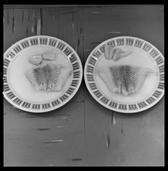 CO2-behandlet (t.v.) og ubehandlet fisk etter lagring.