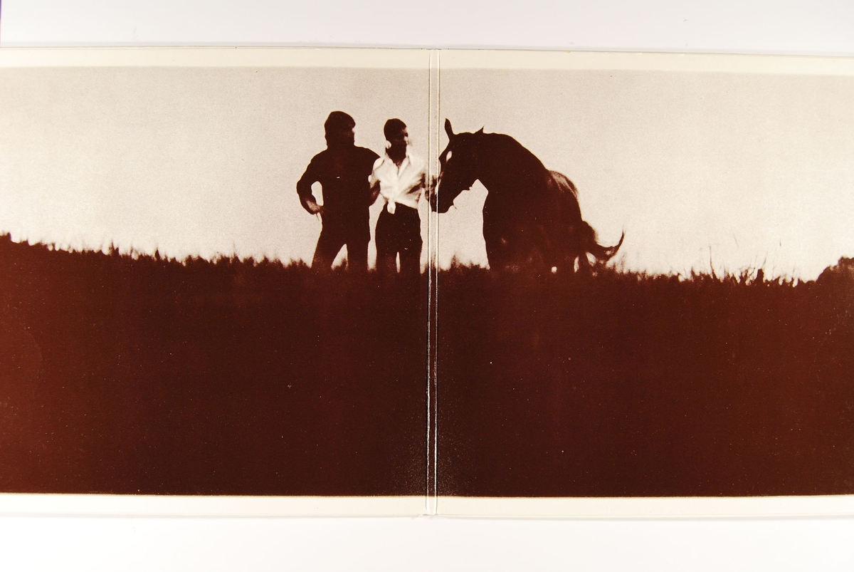 Bilder av mennesker i natur- og gårdsomgivelser på frem- og bakside.

På midtsidene er det bilde av en mann og ei dame, sammen med en hest.