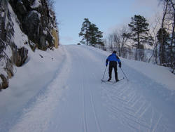 Nedkjørsel Langdalbu 5 januar 2003.