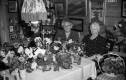 "Hausten 1963"."Selskap hjå Mali".Mali Haukebø.