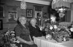 "Hausten 1963"."Selskap hjå Mali".Mali Haukebø.