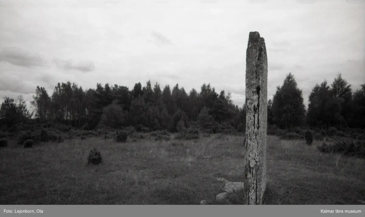 Tingstad flisor är ett gravfält på Stora alvaret, mellan Stora Dalby i Kastlösa socken och Gösslunda i Hulterstads socken i Mörbylånga kommun. Platsen är 220 x 75 meter stor och daterad till brons- och järnåldern.

Namnet kommer av två resta, tillhuggna kalkstensflisor (ca 3 meter höga och 1,5 meter breda), som i det öppna, trädlösa landskapet är synliga på långt håll. De har troligen fungerat som riktmärken för dem som färdades över Alvaret. Från många byar leder stigar eller enkla vägar till Tingstad flisor, som är Ölands mest kända tingsplats. Platsens nämns första gången i en handling från 1393. Ett annat tolkningsförslag är att flisorna, som står i 90° vinkel mot varandra, kan ha fungerat som ett solur, där den smalaste skuggan från vardera flisan markerat tingets början och slut.

Tingstad flisor på Kastlösa alvar på södra Öland är ett av Ölands mest kända, men svårtillgängliga fornminnen, och skall inte förväxlas med Tingsflisan i Köpings socken på mellersta Öland.

(Uppgifterna är hämtade från Wikipedia=.