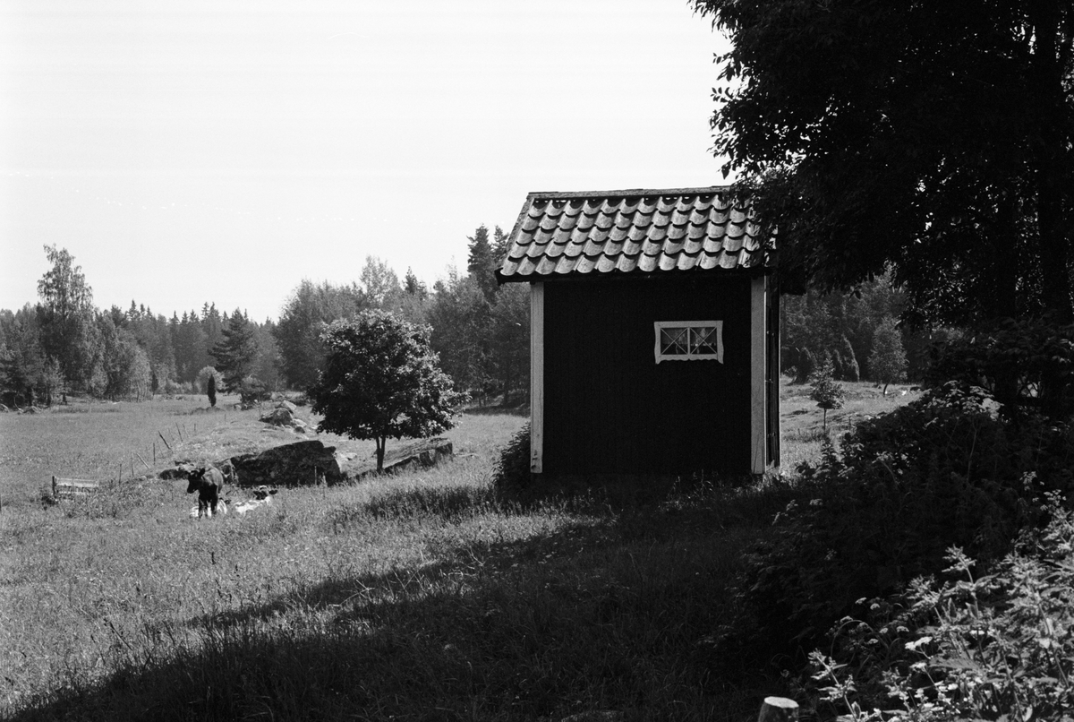 Avträde, Saringe 1:2, Nygården, Tuna socken, Uppland 1987