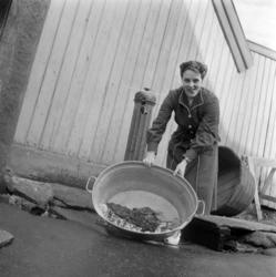 Klesvask. Enerhaugen. .Stupinngata - Johannesgt..Juni 1959