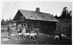 Størhuset på Vollumsætra i Kolbuåsen, oppført 1912 etter bra