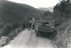 Biler og soldater som står langs med veien og ser framover.