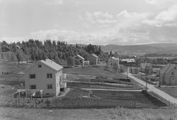 Landskap og oversikt fra Byåsen