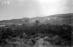 På bildet ser vi utgravingen av et torvtak ved Dambukta på E