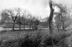 Reperbanen i Vågen. TIl venstre sees noe av bygningene på Fo