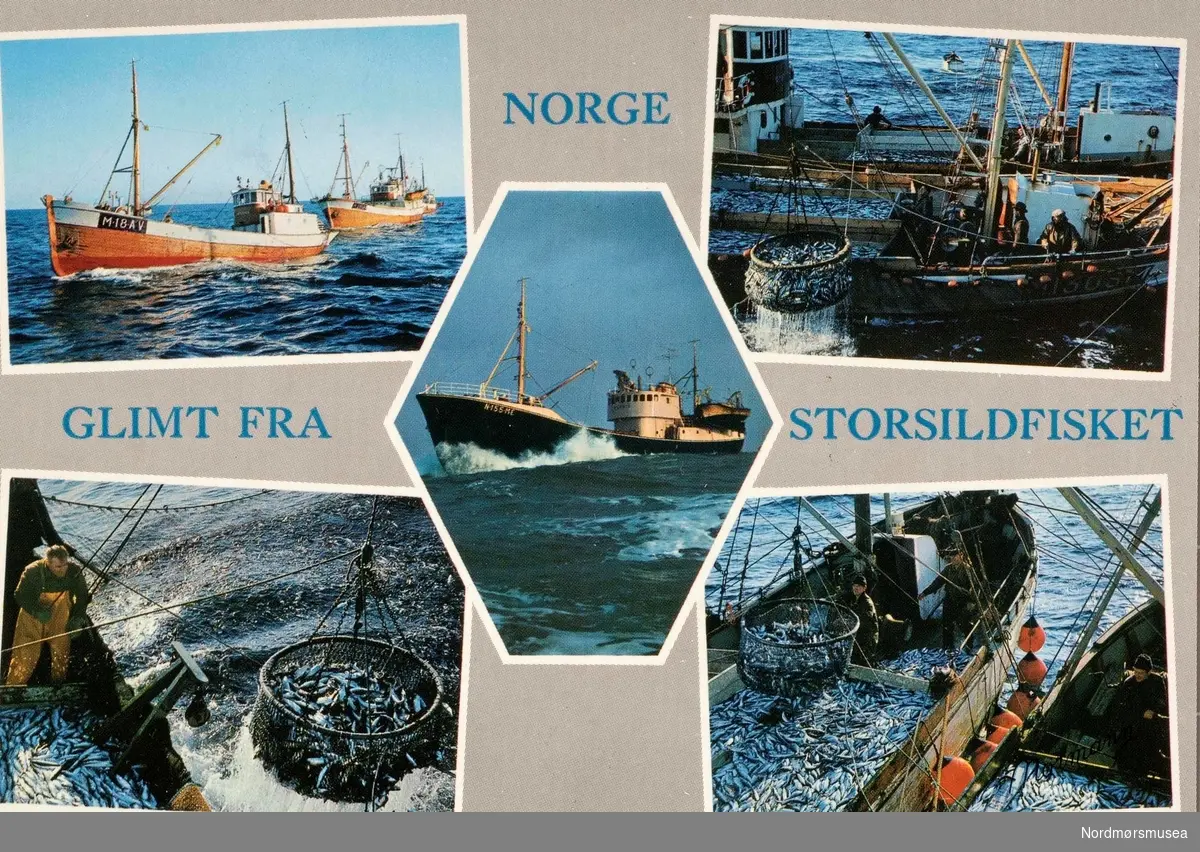 Postkort "130-4" med motiv fra Storsildfisket utenfor norskekysten. Kortet er utgitt ved Normanns kunstforlag A/S, Oslo. Fra Nordmøre Museums fotosamlinger. 

