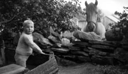 Gutten og hesten.
 Antakelig ett av barnebarna til Margrethe