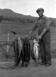 Mangler informasjon. Fra Nordmøre Museums fotosamlinger.