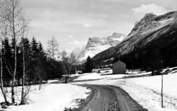 Dalsbø, Innerdalstårnet i bakgrunnen, Sunndal Kommune (info 