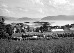 Foto fra ei bygd, muligens i Nesset kommune. Datering er san