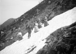 En gruppe pent kledte mennesker på fjelltur. Se også KMb-198