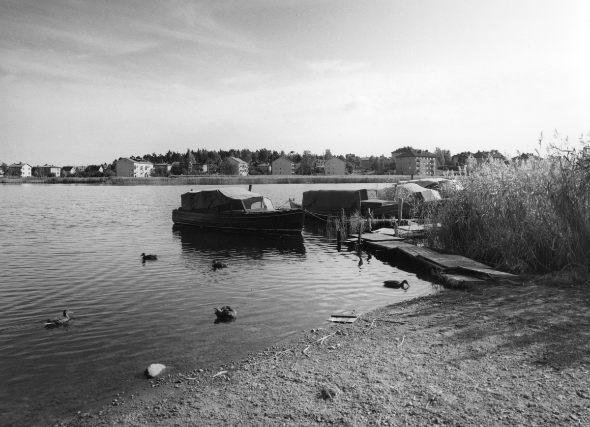 Tjärnet med stadsdelen Lamberget i bakgrunden ca år 1965.