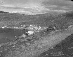 Hammerfest aug. 1960