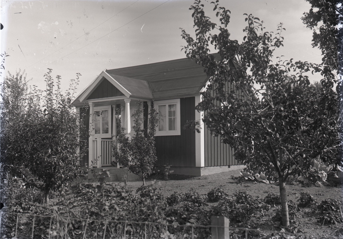 En stuga vid Kalmar södra koloniområde, fotograferad omkring 1930. Kalmar södra koloniförening grundades 1917 och har idag 105 kolonilotter. Området ligger strax söder om länssjukhuset i Kalmar med huvudingång från Stensbergsvägen.
