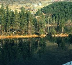 Nykkeltjern med Annfinset i bakgrunn.
bilde er tatt av Thor