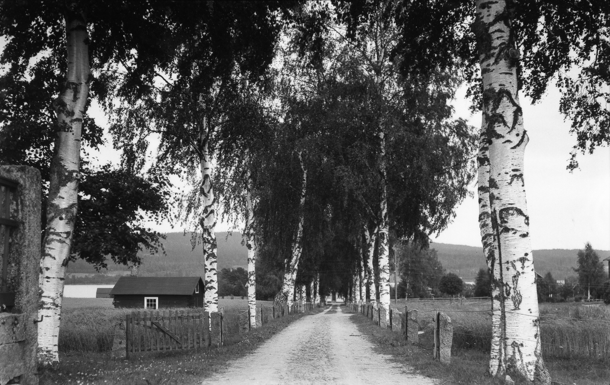 Landsväg i Undersviks socken.
