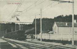 Tog og passasjerer på Svorkmo stasjon. Antagelig fra åpnings