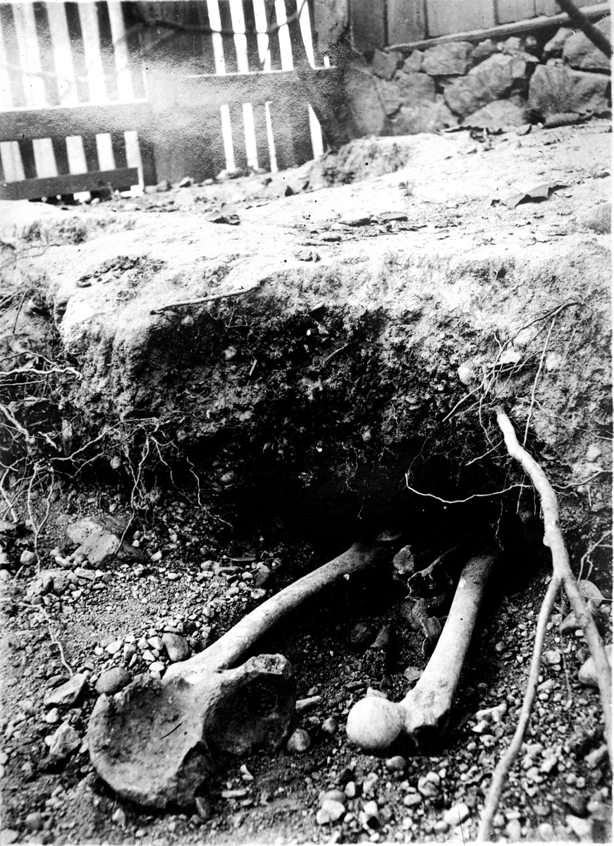 Medeltida gravar, foto från 1930-tal.
Fotograf Österberg.