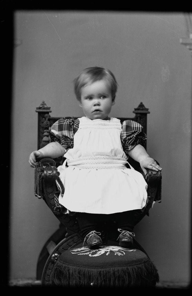 Gunnar Hallströms gosse, 1892. Fotograf okänd.