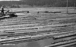 Fra retteanlegget ved Glennetangen lense i Skiptvet i Østfol