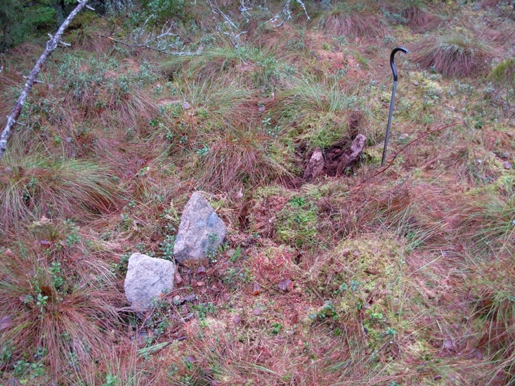 Vettare
Foto av Gränsmärke , s.k. vettare, bestående av 5 stenar, en är kullfallen.
Raä 203 b, 2010-11-17