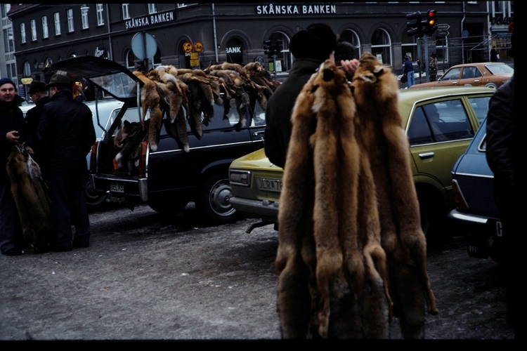 Skinnmarknad på Stortorget i Växjö, 1977. Sigfridsmäss.