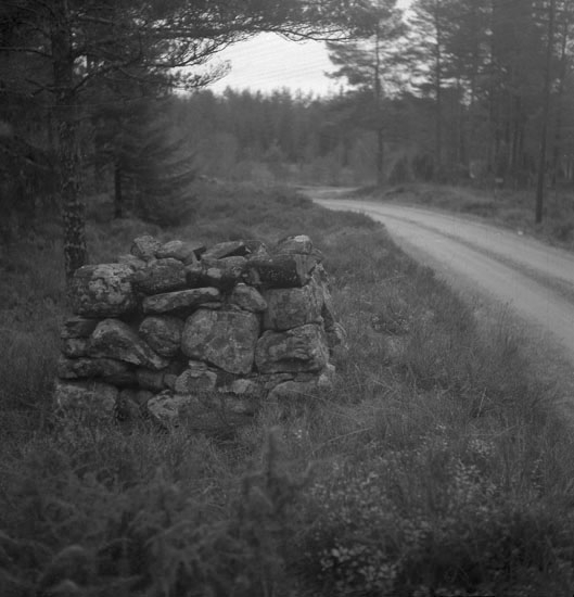 Foto av ett röse till milsten. 
5800 m S om Hinneryds kyrka. 1,5 m Ö om vägen.
Vägen Hinneryd-Markaryd. 
Källa: Kronobergs läns väginventering 1943.