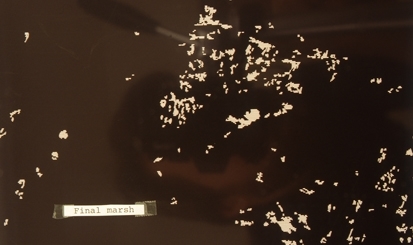 GRAFIKERgruppen: M-711 kart, Negativ film av myr med raster