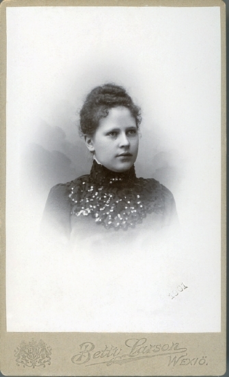 Porträtt (bröstbild, halvprofil) av en okänd  kvinna i mörk, höghalsad klänning, prydd med paljetter. 
I halsgropen skymtar en brosch. I nedre högra hörnet är inpräglat: "1901."
