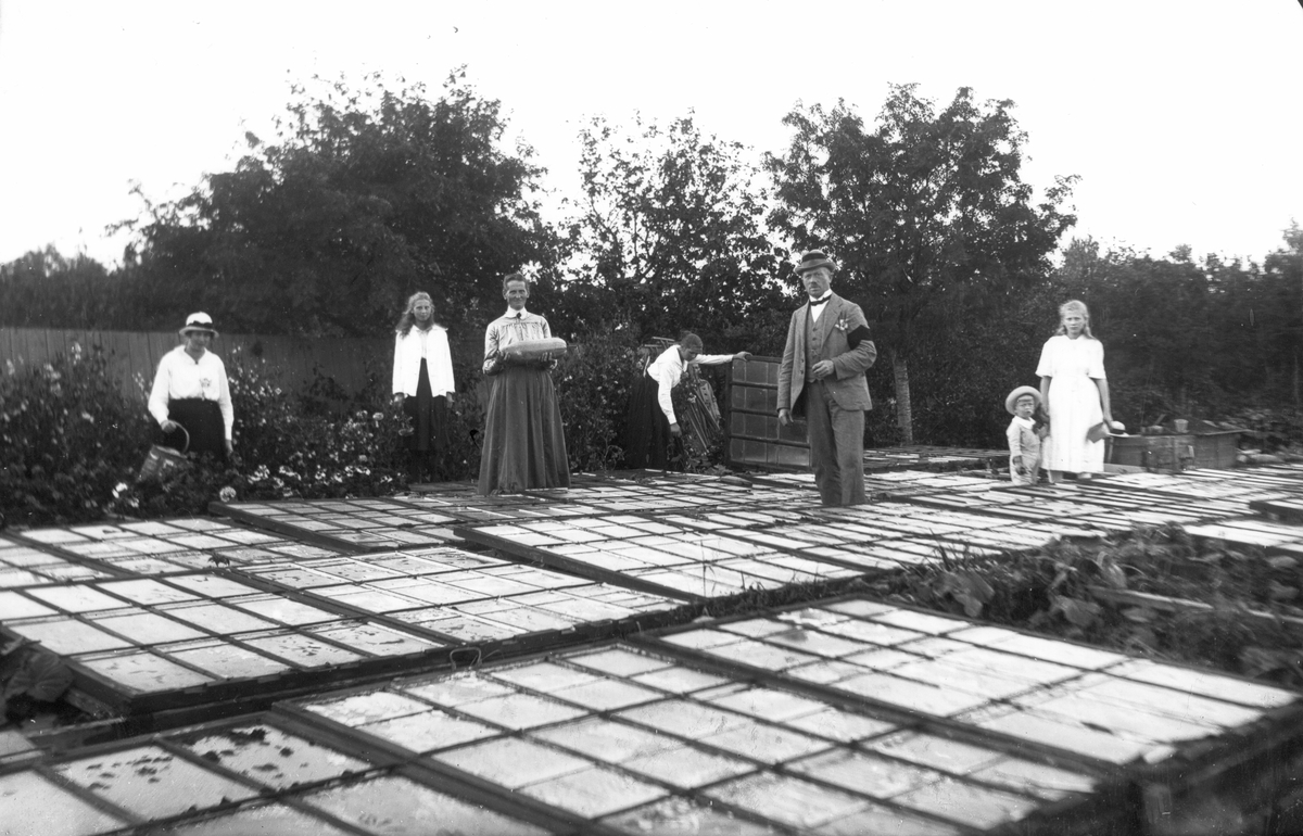 Trädgårdsmästare Eriksson med familj bland odlingar på herrgården. Från vänster: Anna, Tilda, fru Emma, Lisa, fadern N E, Sven och Emmy.