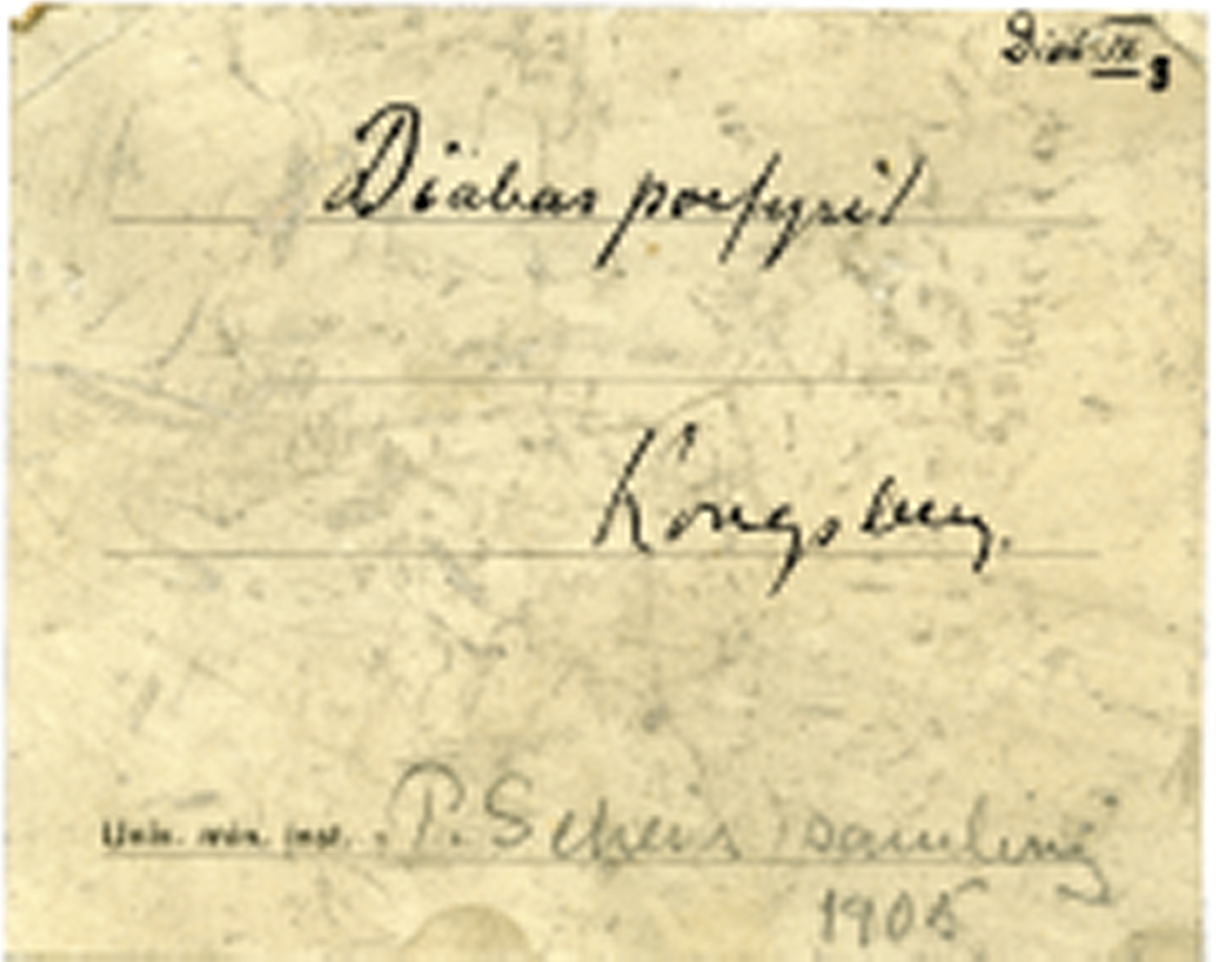 To etiketter i eske:

Etikett 1:
Diab. IX 8
Diabasporfyritt
Kongsberg
P. Scheis samling 1905

Etikett 2:
Kongsberg ?
Fra Maarthen 1918