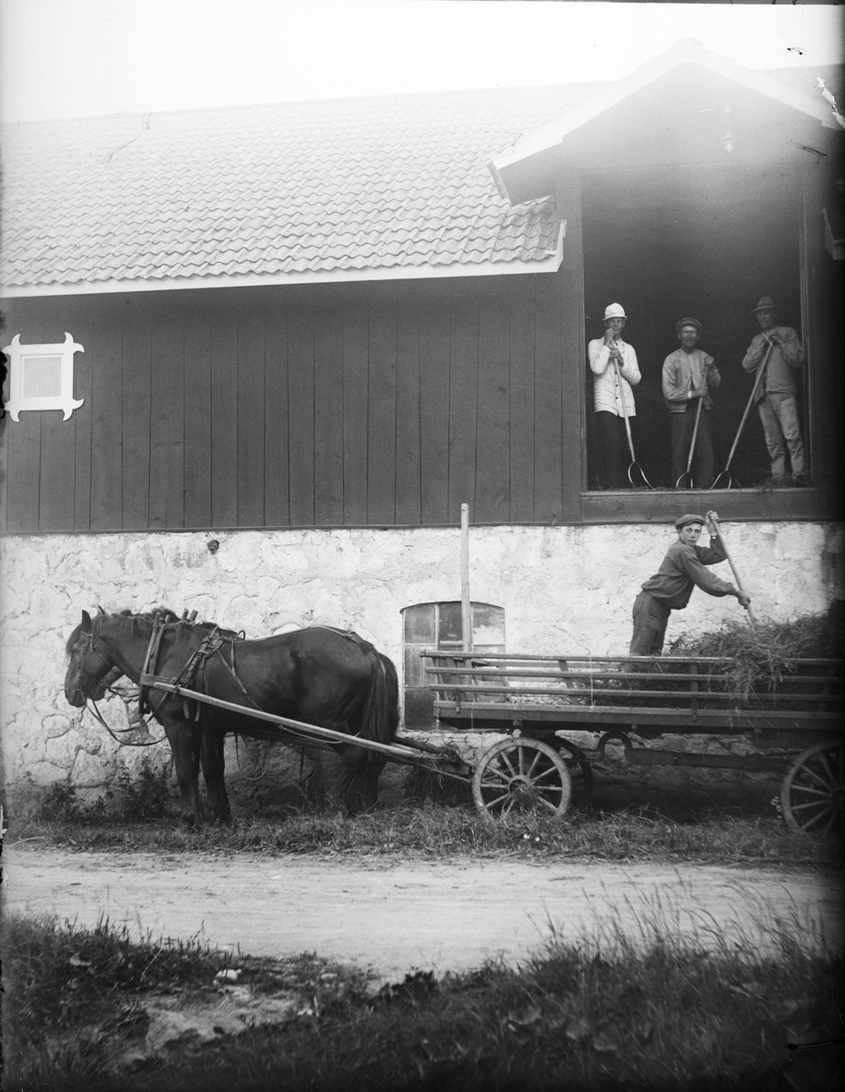 "Lindblom, Julin, Alinder och Hagberg på Hökörning", Sävasta, Altuna socken, Uppland 1921