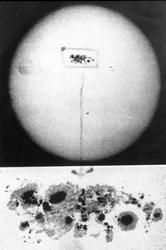 Nordlysforskning, solflekker