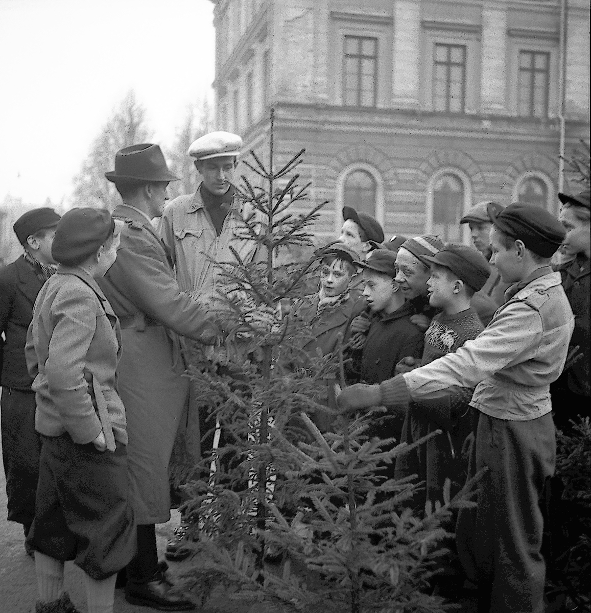 Julgransförsäljning. December 1945
