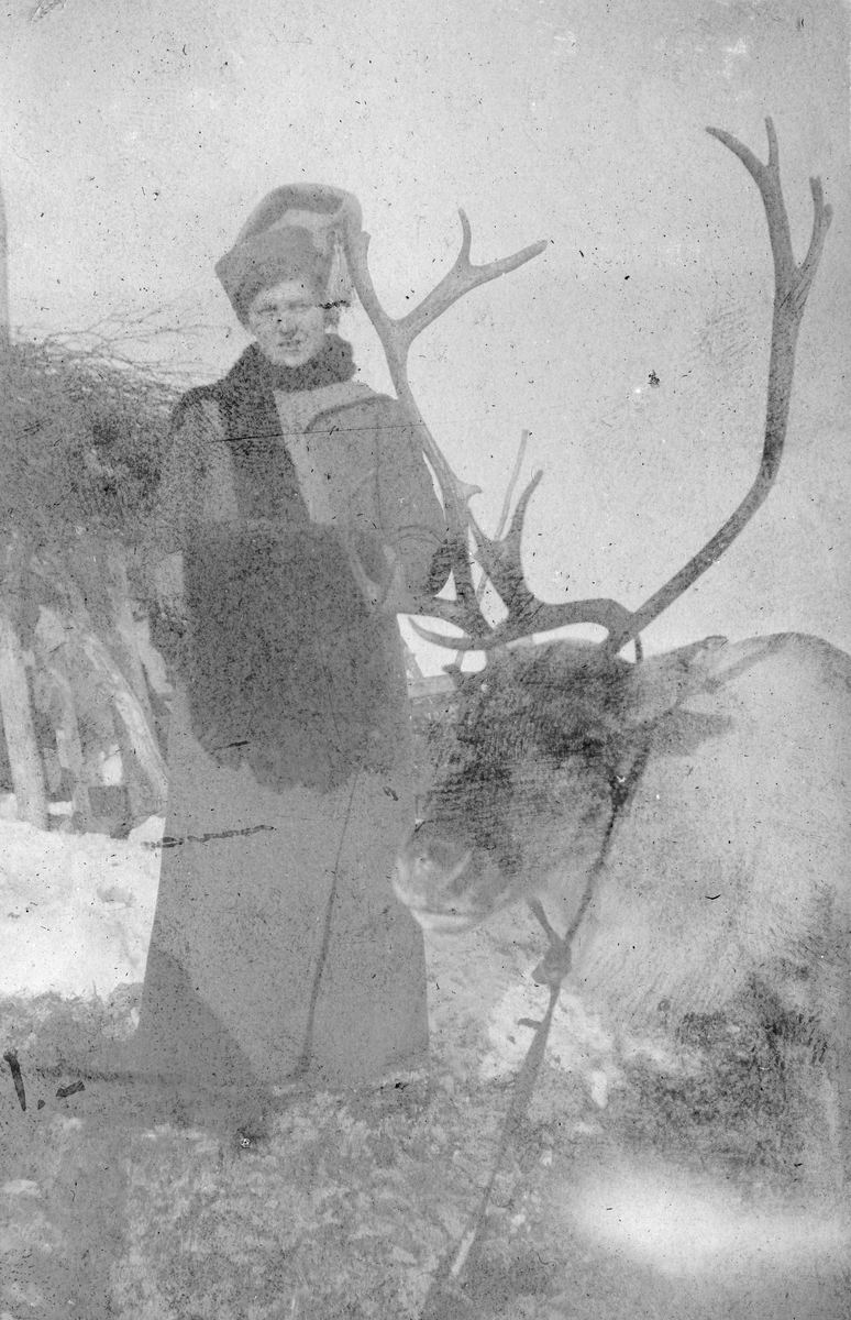 Ragnhild Gundersen oppstilt ved siden av reinsdyr. Bildet er fra en sledetur omkring Kirkenes, 1912.